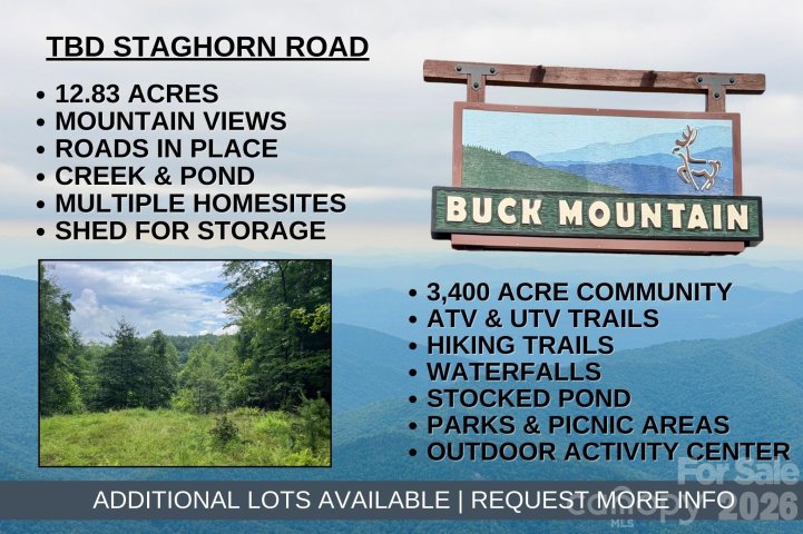 Tbd Staghorn Road active home in Buck Mountain, Purlear, NC