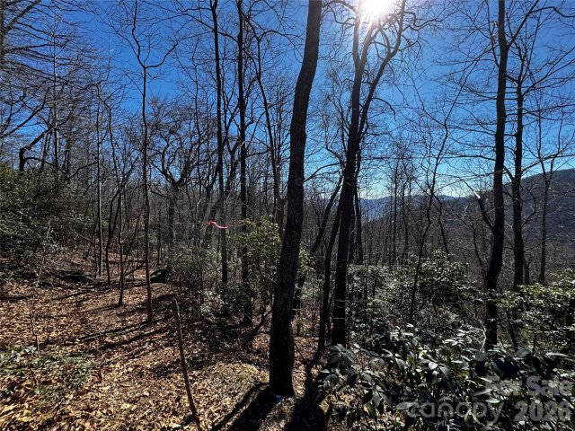 Tbd Acacia Court 936 active home in Laurel Ridge, Black Mountain, NC