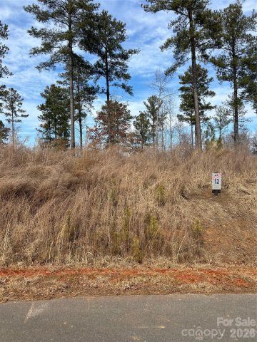 2099 Columbia Ridge active home in Lakeside Reserve, Connelly Springs, NC