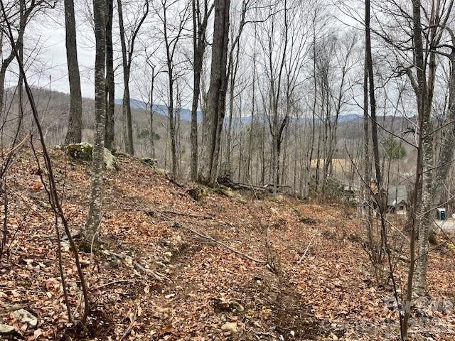 C 114 Spring Water Lane active home in The Lodges At Eagles Nest, Banner Elk, NC