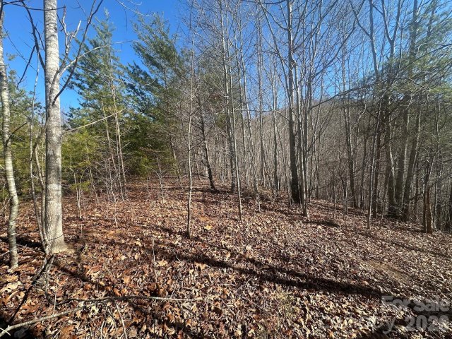 127 Robinwood Trail active home in South Mountain Peaks, Bostic, NC