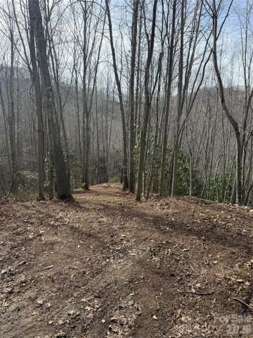 236 Down The Hill Road active home in Balsam Mountain Preserve, Sylva, NC