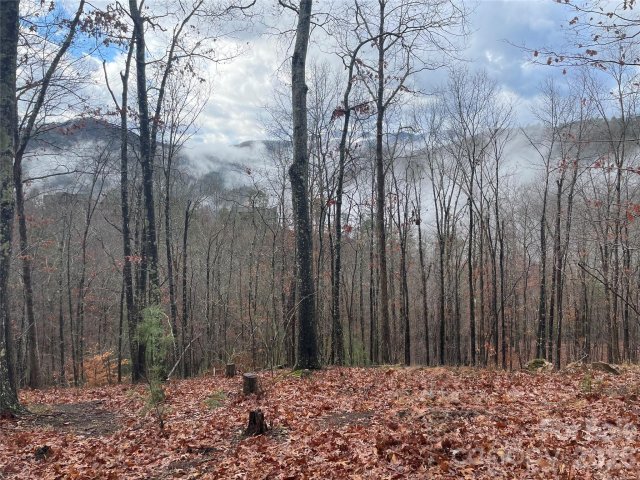75 Wild Turkey Loop 31 active home in French Broad Crossing, Marshall, NC