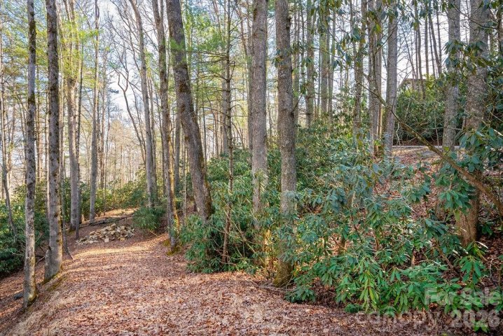 Homes in Middlemount, Pisgah Forest