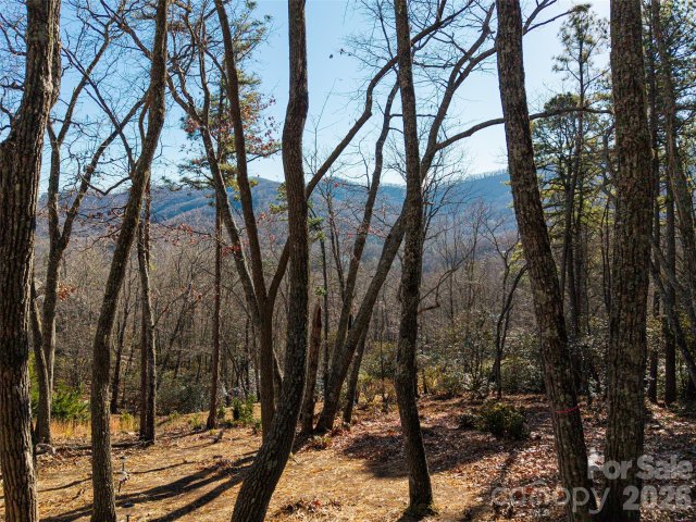 92 Smokey Ridge Trail active home in The Cliffs At Walnut Cove, Arden, NC