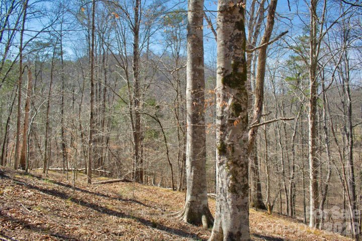 0 Cross Creek Drive 143 active home in Clearwater Creek, Rutherfordton, NC