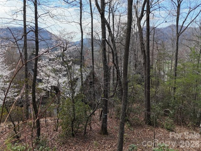 709 Craggyside Lane 24 active home in The Cliffs At Walnut Cove, Arden, NC