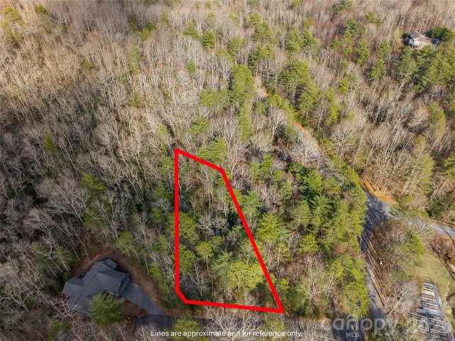 Tbd Tsvwagi Court active home in Connestee Falls, Brevard, NC