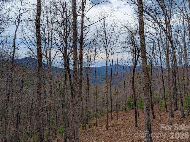 51 Wild Turkey Loop 32 active home in French Broad Crossing, Marshall, NC