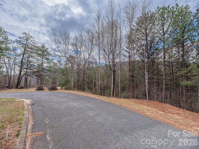 102 Trillium Lane #C-3 active home in Creston, Black Mountain, NC