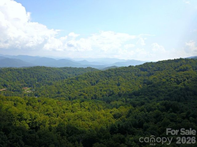Homes in Mountain Forest Estates, Sylva