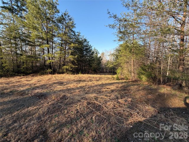 0 Shady Bark Lane 40 active home in Ole Plantation, Rutherfordton, NC