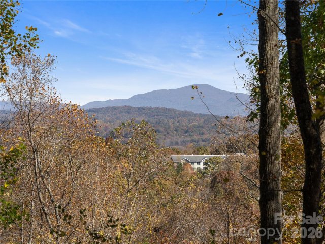 44 Ridge Pine Trail active home in The Cliffs At Walnut Cove, Arden, NC