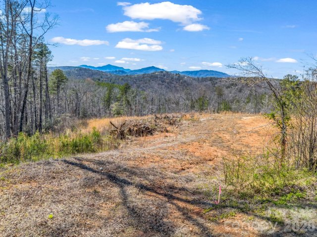 00 Shady Bark Lane active home in Ole Plantation, Rutherfordton, NC