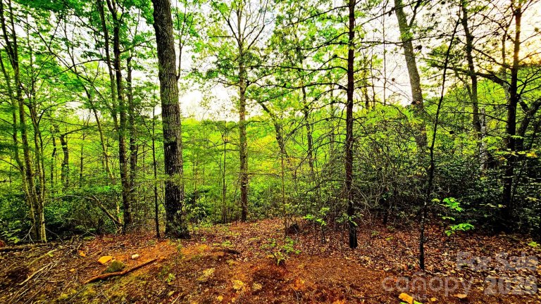 Lot 59 Bear Cliff Way active home in Highlands Of Lake Lure, Lake Lure, NC