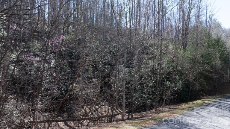 1342 High Trail Drive active home in The Arbor At Lake James, Nebo, NC