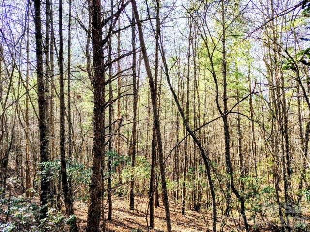 Homes in Heartwood Forest, Collettsville