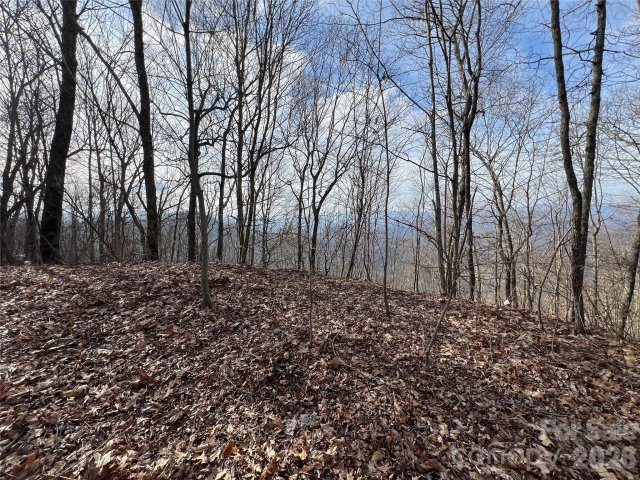 Homes in Cowee Mountain Properties, Bryson City