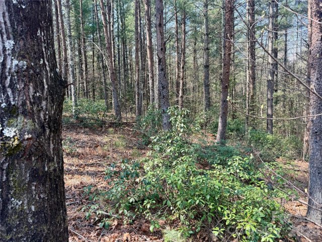 2494 Ivy Rays Way pending home in The Enclave At Lake James, Nebo, NC