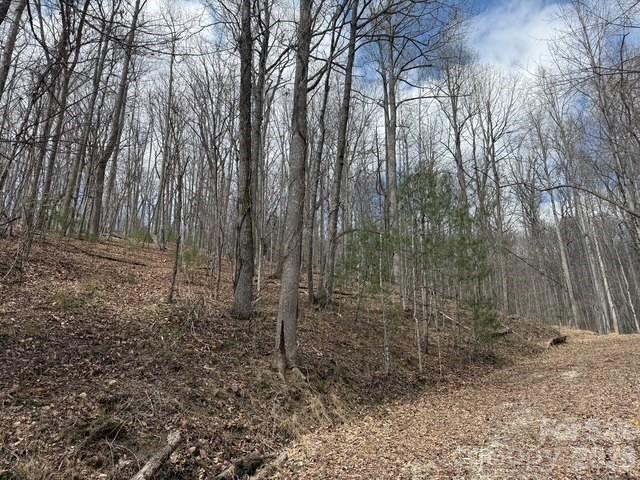 158 Chattooga Run active home in Champion Hills, Hendersonville, NC