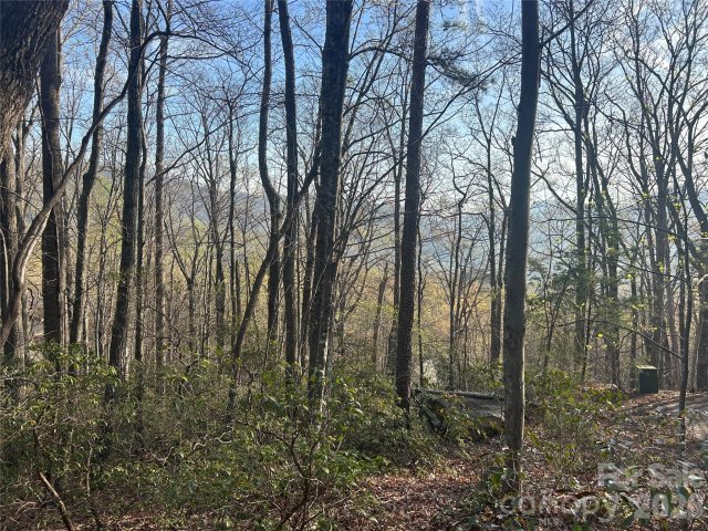 Lot 301 Cardinal Road active home in Rumbling Bald On Lake Lure, Lake Lure, NC
