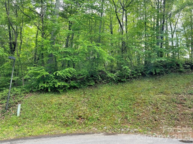 186 Aldersgate Road active home in Aldersgate Ridge, Waynesville, NC