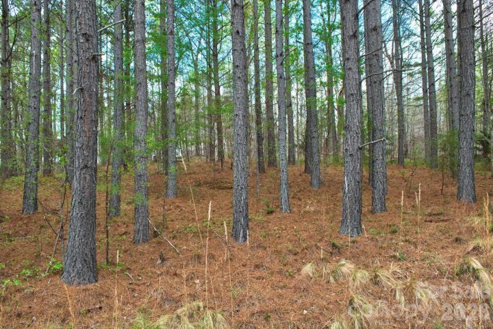 0 Clearwater Parkway active home in Clearwater Creek, Rutherfordton, NC
