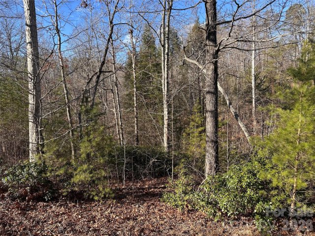 0 Rock Ledge Drive active home in Vista At Bills Mountain, Lake Lure, NC