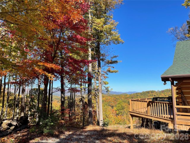 Homes in The Forest At Rixhaven, Saluda