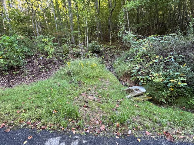 Tbd Red Oak Forest Road active home in Fairview Forest, Fairview, NC