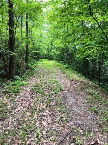 Lot 46 Lake Adger Parkway active home in Lake Adger, Mill Spring, NC