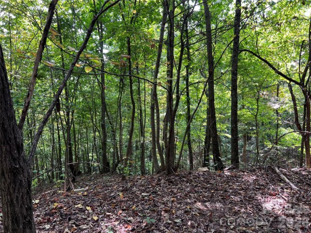 0 Old Forge Drive pending home in The Summit, Bostic, NC