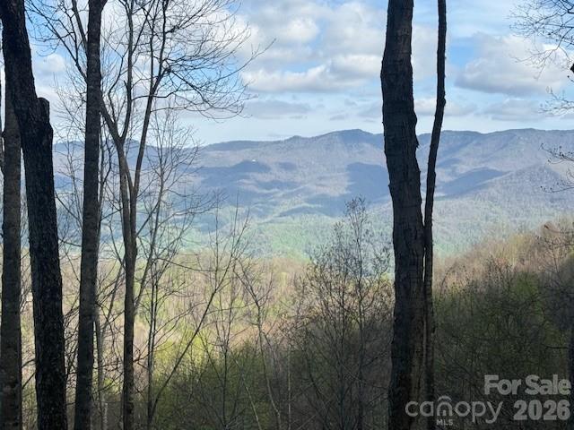 Lt 70 Old Growth Way pending home in Balsam Mountain Preserve, Sylva, NC