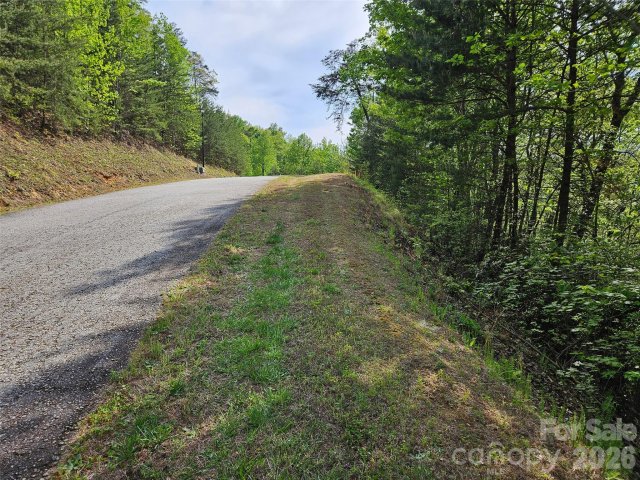 0 High Pines Loop active home in Vista At Bills Mountain, Lake Lure, NC