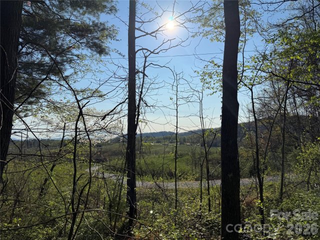 Homes in Woodlyn Echoes, Hendersonville