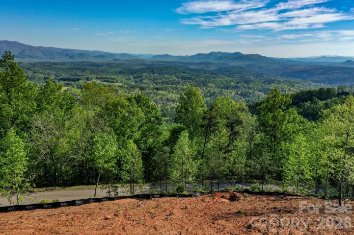 0 Half Moon Mile None active home in Vista At Bills Mountain, Lake Lure, NC