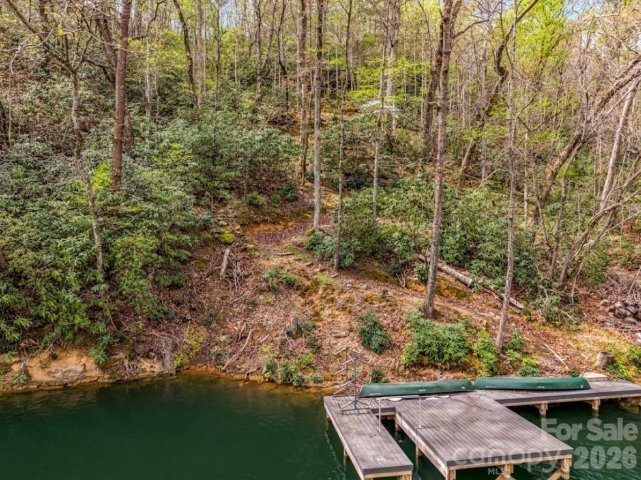 004 005 Quail Ridge Boulevard active home in Rumbling Bald On Lake Lure, Lake Lure, NC