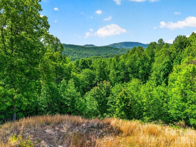 51 Falls Lane active home in Champion Hills, Hendersonville, NC