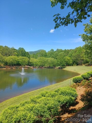 Homes in Apple Valley Farms, Lake Lure