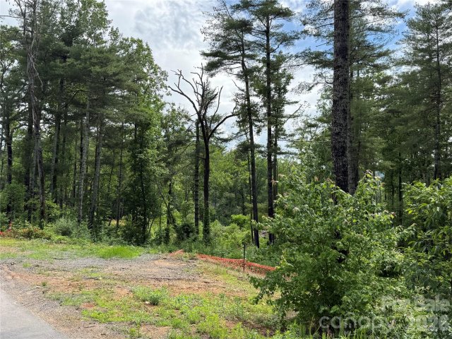 173 Cascade Ridge Road pending home in Cascade Ridge, Fairview, NC