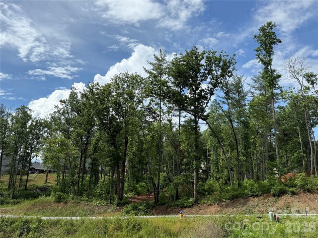 207 Cascade Ridge Road pending home in Cascade Ridge, Fairview, NC
