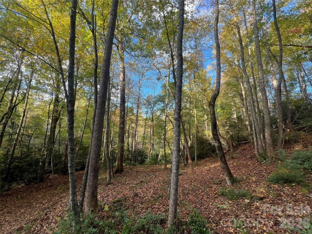 6 Dividing Ridge Trail active home in The Cliffs At Walnut Cove, Arden, NC