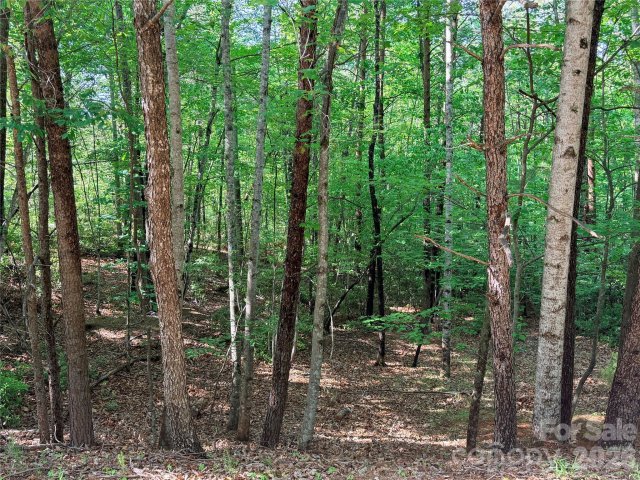 0 Mcdaniel Court active home in Rumbling Bald On Lake Lure, Lake Lure, NC