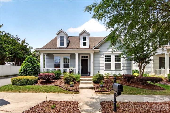 Homes in Bailey Springs, Davidson