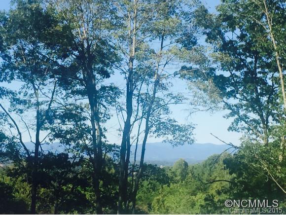 11 Balsamwood Road sold home in Moores Valley, Leicester, NC