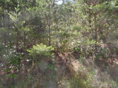 11 Mountain Magnolia Lane 24 sold home in Moores Valley, Leicester, NC