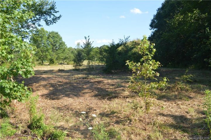 1071 Reba Lane sold home in Canebreak Ridge, Kannapolis, NC