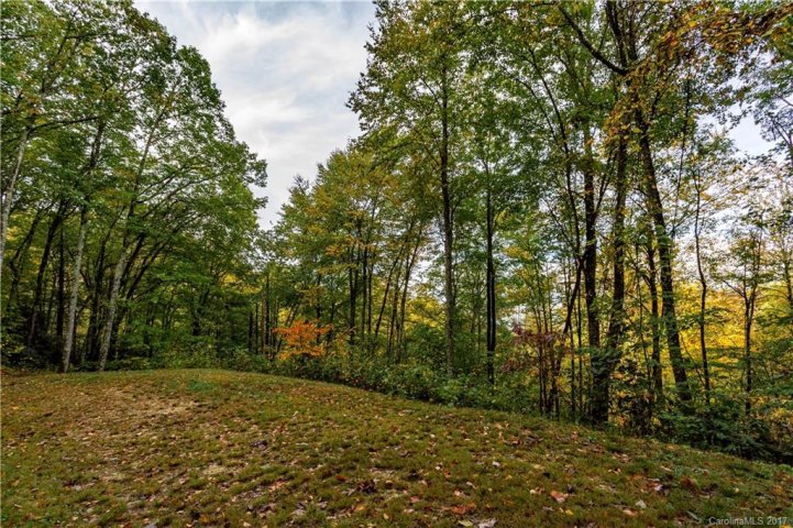 58 Buddy Boy Lane 75A sold home in Black Rock Creek, Qualla, NC