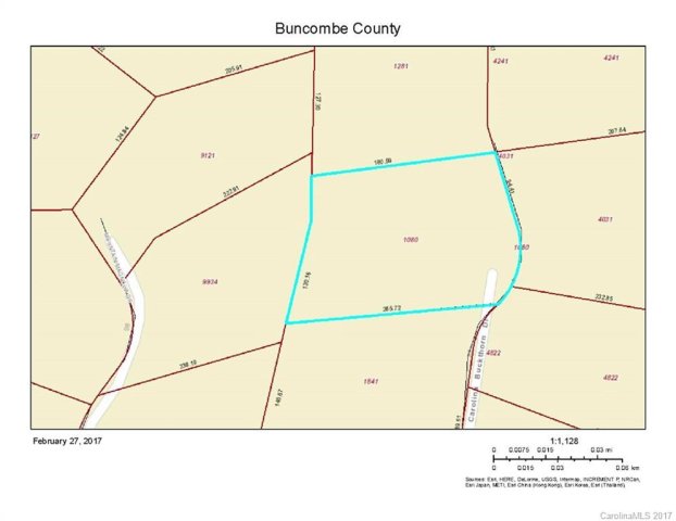 36 Carolina Buckthorn Drive sold home in Moores Valley, Leicester, NC