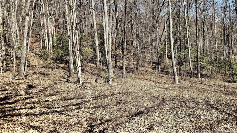 0000 Parchment Lane 5-4 sold home in Hemlock Falls, Sylva, NC